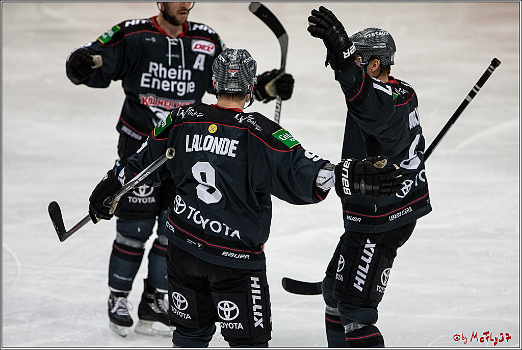DEL, Koelner Haie - Adler Mannheim, 05.02.2017